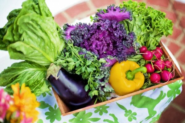 Basket of Vegetables