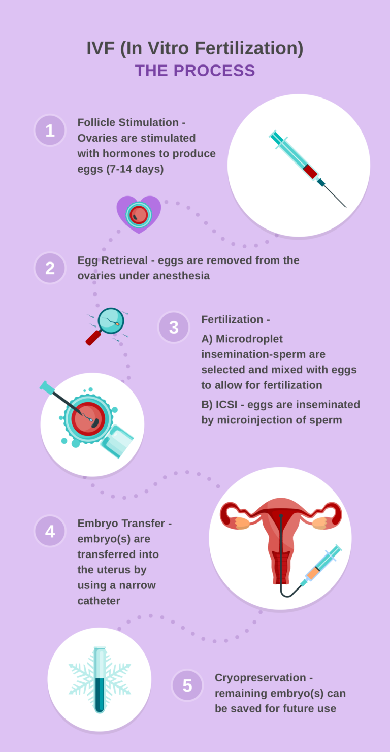 In Vitro Fertilization – Center for Reproductive Medicine