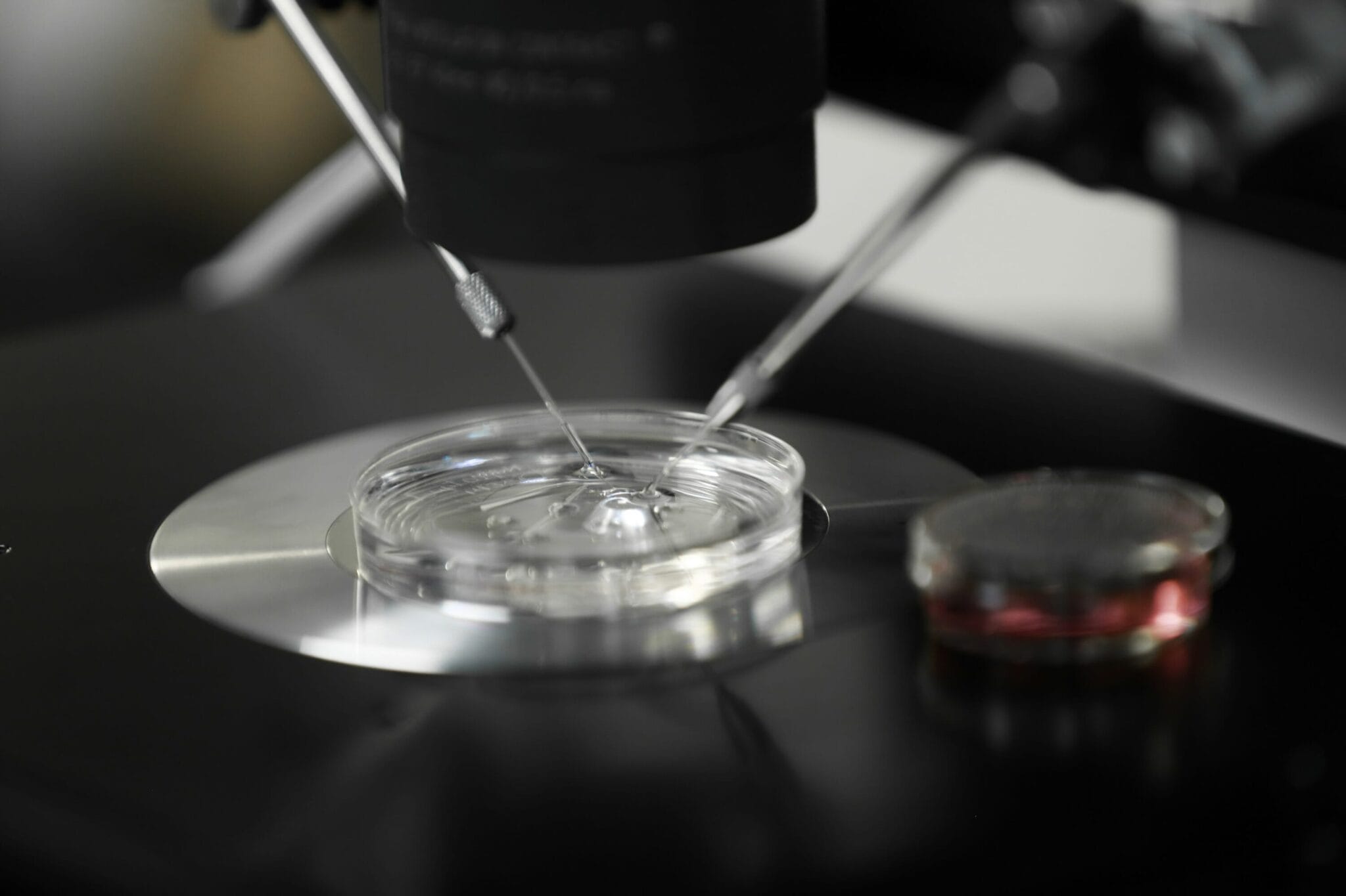 Andrology, Semen Analysis, Artificial Insemination, Sperm Donor | Twin ...