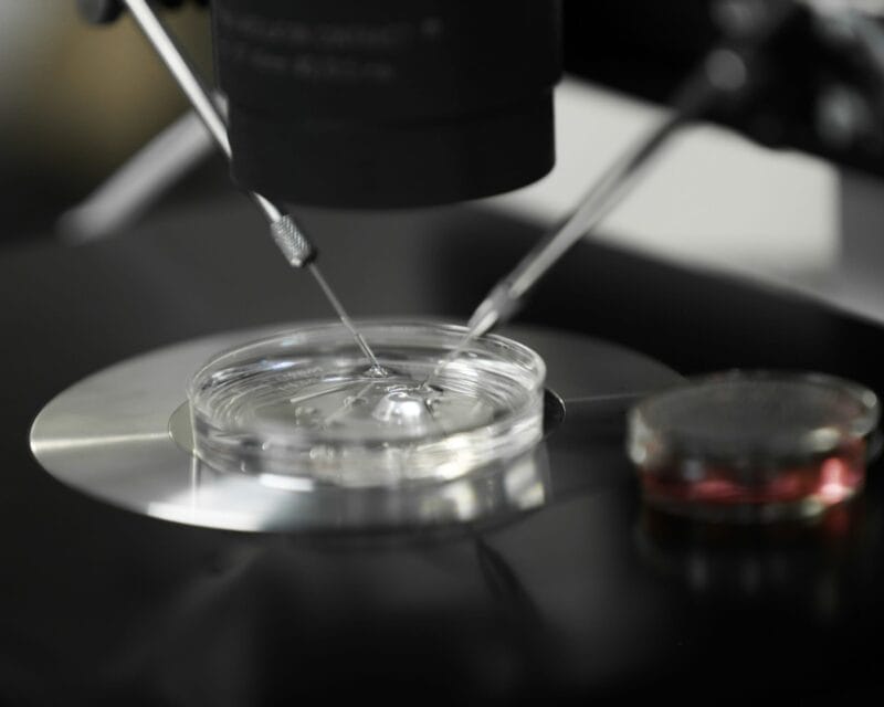 Work done under microscope